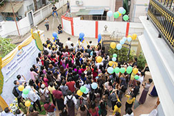 MMI Photos